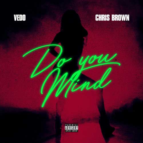 Vedo & Chris Brown-Do You Mind track